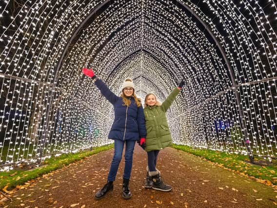 Christmas at the Botanics set to sparkle until January 3, 2021