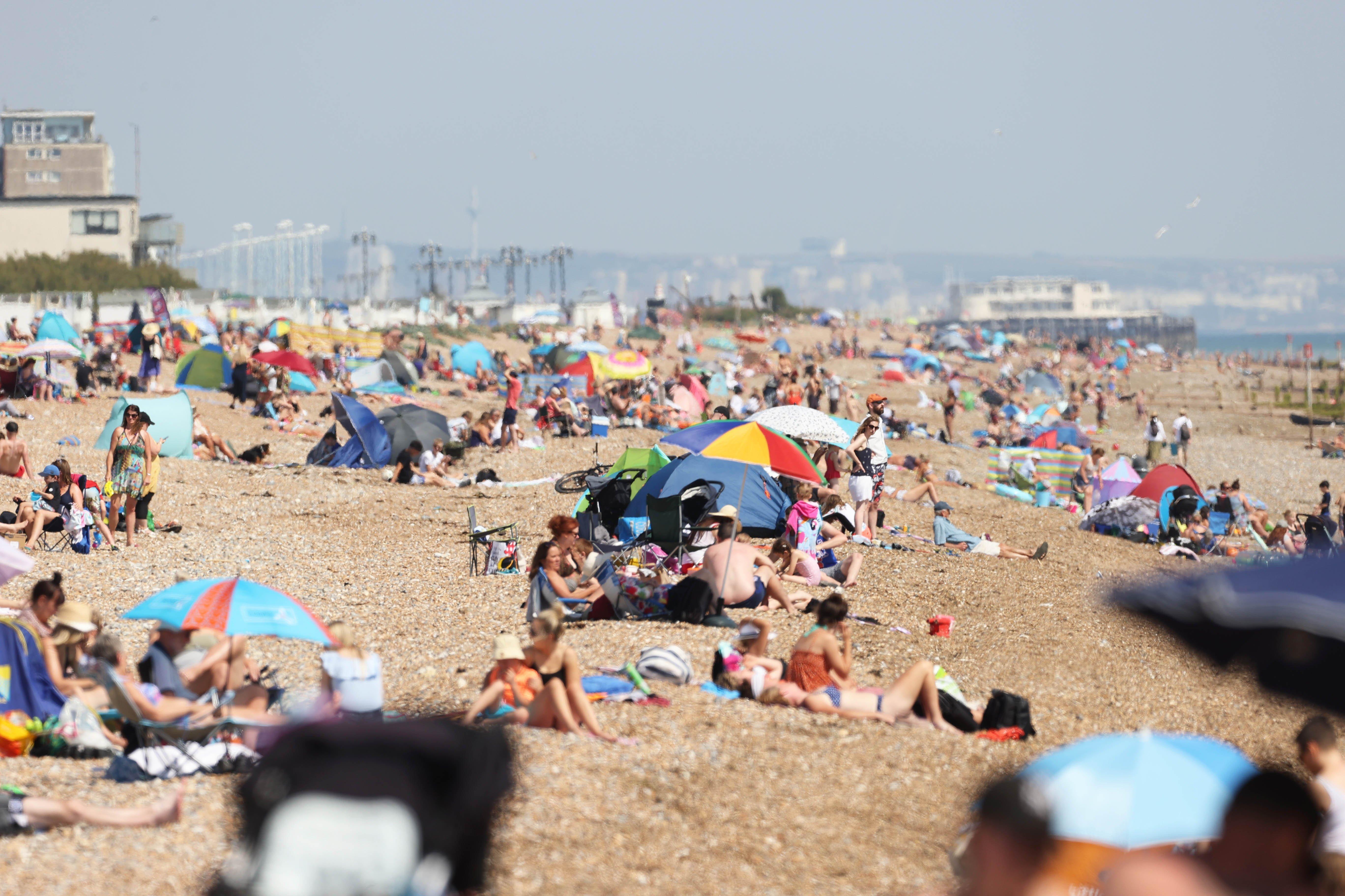 Plenty of activity on the beach in Worthing and Goring