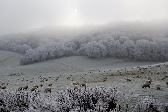Frosty mornings may wake you want to hibernate but it can be beautiful out in the winter. Wrap up warm, head up to Butts Bow and see the beauty of a hoar frost on the hills