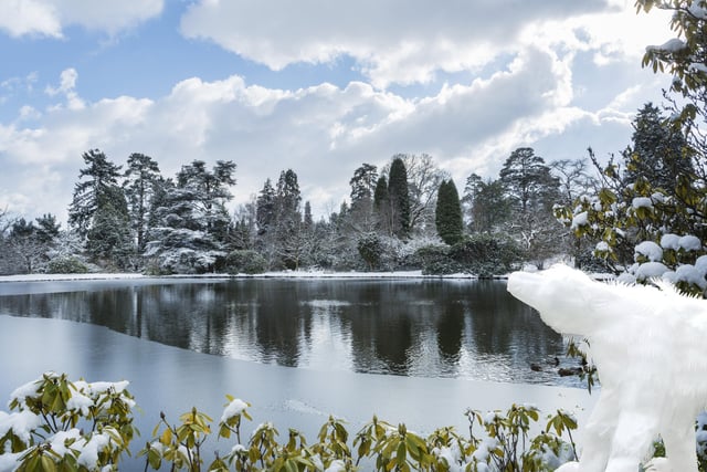 Neillie's Arctic Adventure starts at Sheffield Park and Gardens, near Uckfield, this weekend. Enjoy a range of sculptures including an ice cave and polar bear as you explore the gardens and learn about Nellie. Click the link above to find out more.