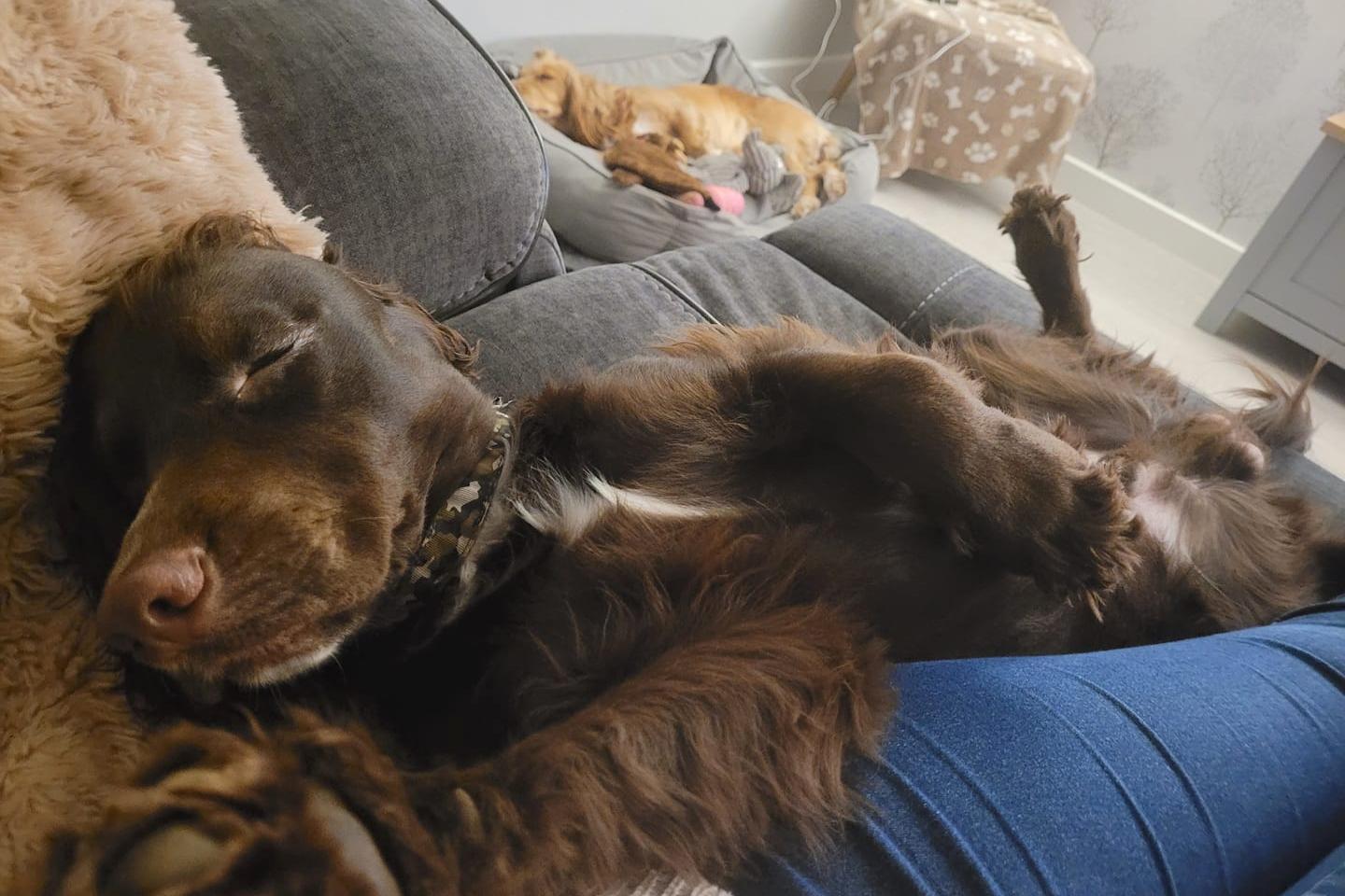 Buddy and Minnie