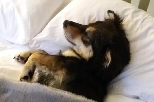 Bella