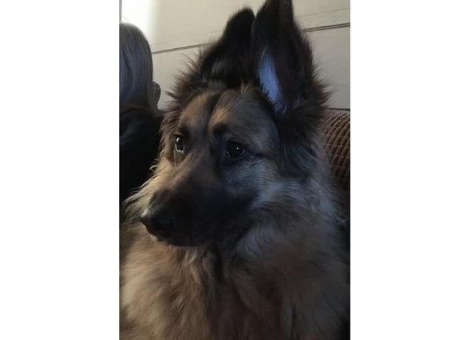 Lola
