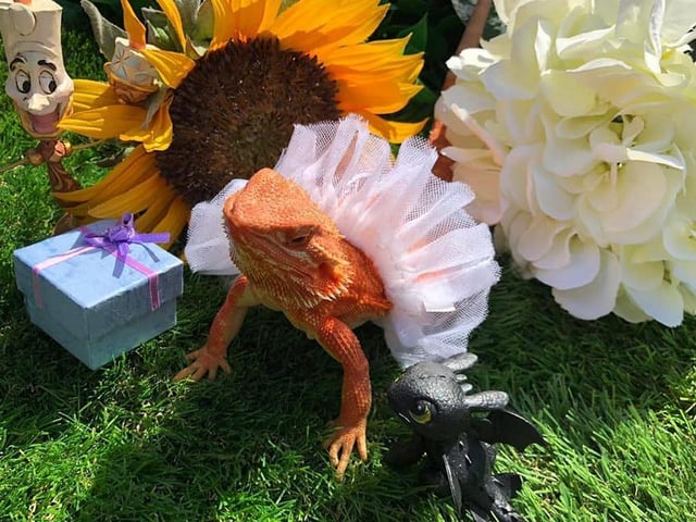 Sent in by Donna Rhodes