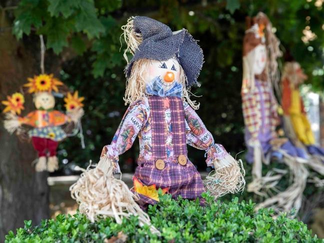 Harpole Scarecrow Festival. Photo: Kirsty Edmonds