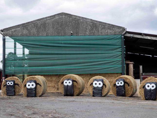 Harpole Scarecrow Festival. Photo: Kirsty Edmonds