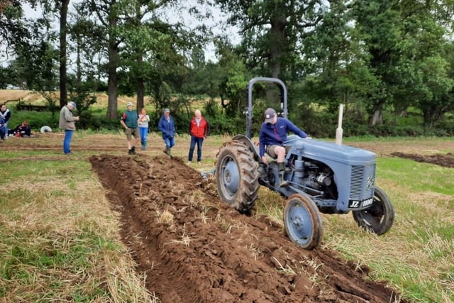 Samuel Weir tried ploughing for his first time with his Ferguson P3