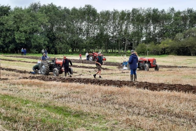Some of the plough men ploughing individual plots