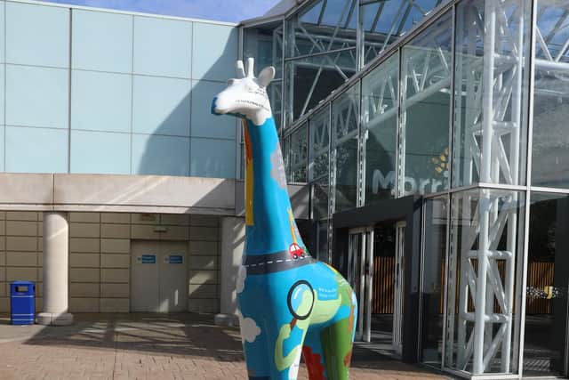 The sculpture is decorated with colourful illustrations and accompanied by its creator's favourite animal jokes.