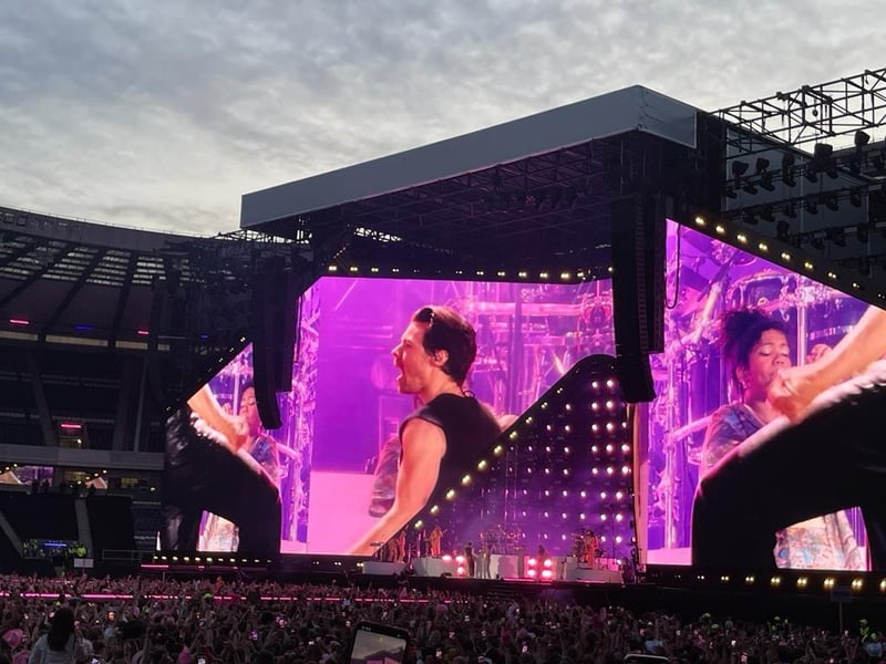 Harry Styles was projected on to giant screens at BT Murrayfield Stadium, giving everyone a good view of the heartthrob singer.