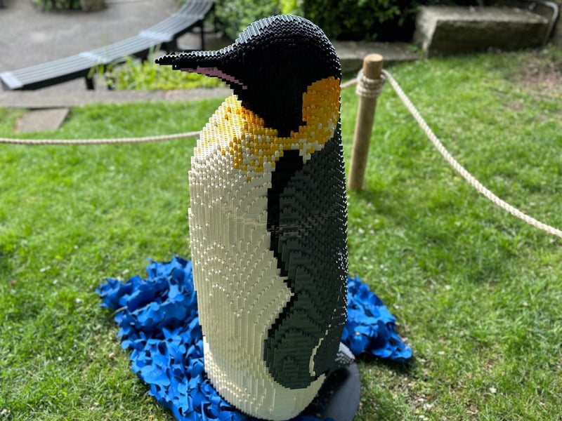 This King Penguin sculpture took nearly 50 hours to complete and weighs 47kg - 30kg more than the real thing. You can be in with a chance of winning a platinum animal adoption by guessing how many bricks were used to make it - when visiting the attraction scan the QR code to apply