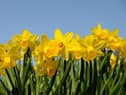 Edinburgh weather: Here is what the weather is going to be like on Easter Weekend