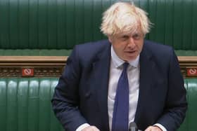 Boris Johnson should have stopped travel from India to the UK much sooner, says Christine Grahame (Picture: House of Commons/PA Wire)