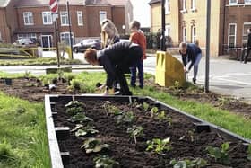 Vegetable patches could be created on council land in Edinburgh. Image: Incredible Edibles.