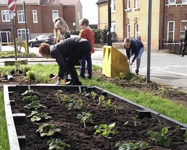 Vegetable patches could be created on council land in Edinburgh. Image: Incredible Edibles.