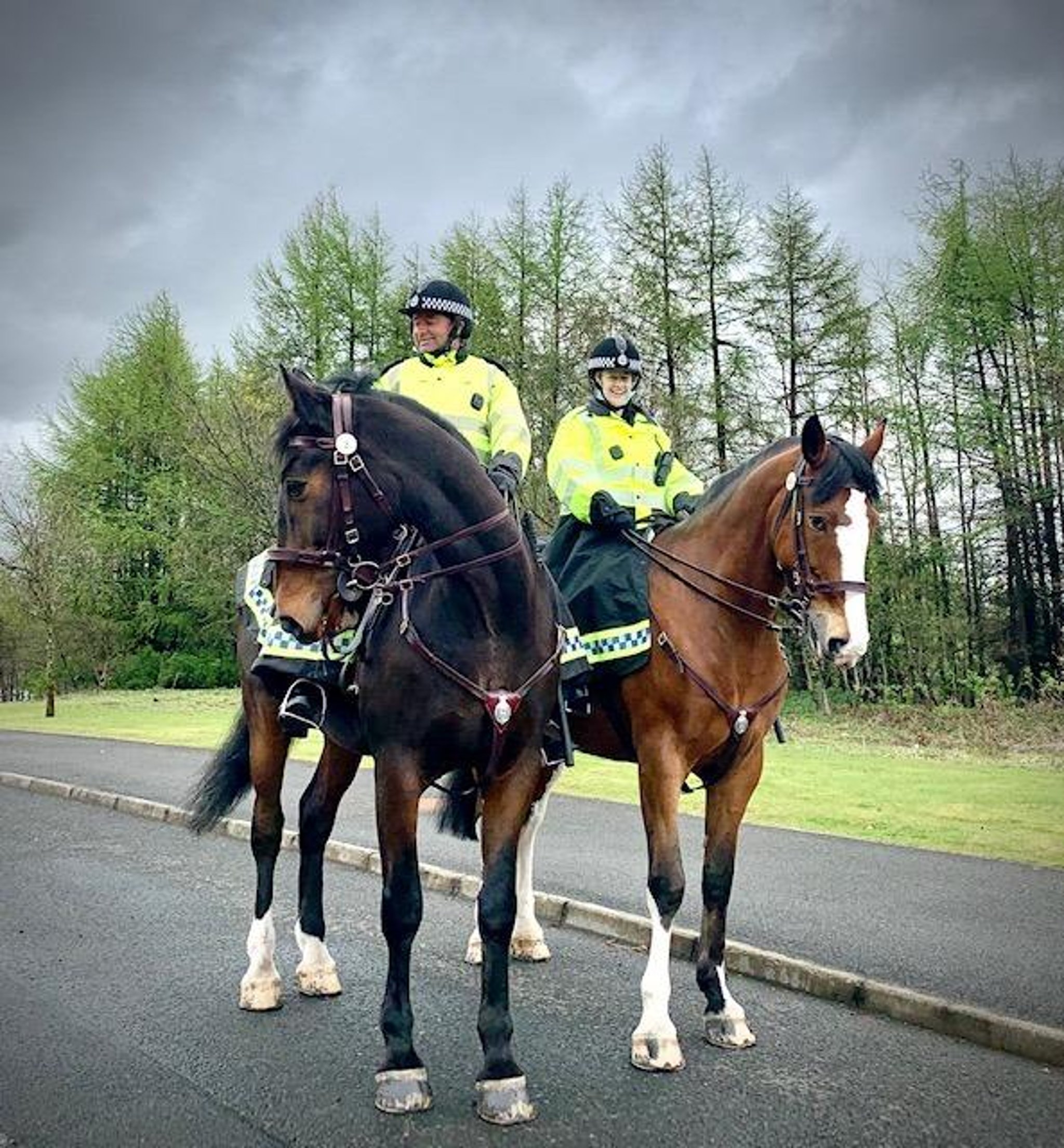 Bathgate parents urged to introduce kids to police horses with mounted section back ‘by popular demand’