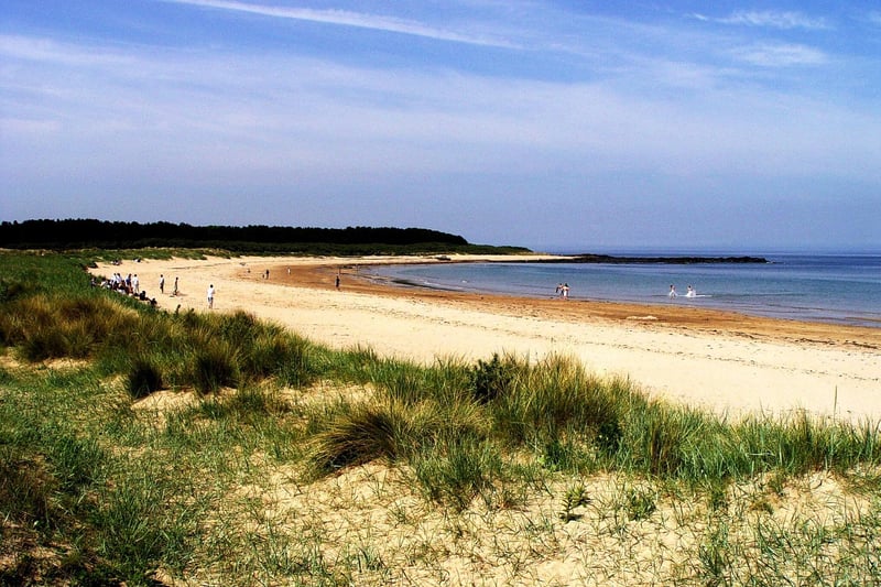 The gorgeous sandy beach in East Lothian looks like a lovely place to swim and sunbathe. However, despite a 'good' bathing water rating from SEPA, high e.coli levels of 1800 cfu were found at Yellowcraig last year.