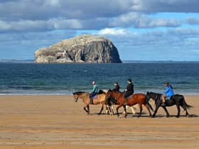 Horse riders at Seacliff Beach with the beautiful Bass Rock in the backdrop.
