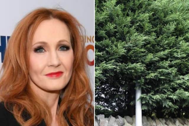 Traffic halted to let work crew tackle JK Rowling's massive Leylandii hedge