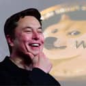 Dogecoin price spikes after Elon Musk's Tesla crypto news - latest Dogecoin price today and price prediction (Image credit: AFP via Getty Images/Pexels)