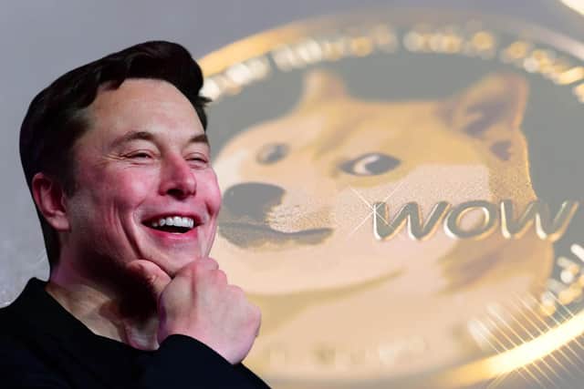 Dogecoin price spikes after Elon Musk's Tesla crypto news - latest Dogecoin price today and price prediction (Image credit: AFP via Getty Images/Pexels)
