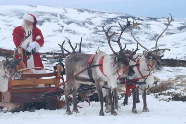 Will Christmas have to be cancelled this year? (Picture: Alex Smith/SWNS)