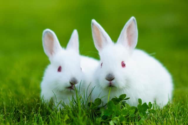 Do you have any traditions on the first of the month? (Photo: Shutterstock)