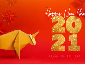 Chinese New Year 2021, Year of the Ox