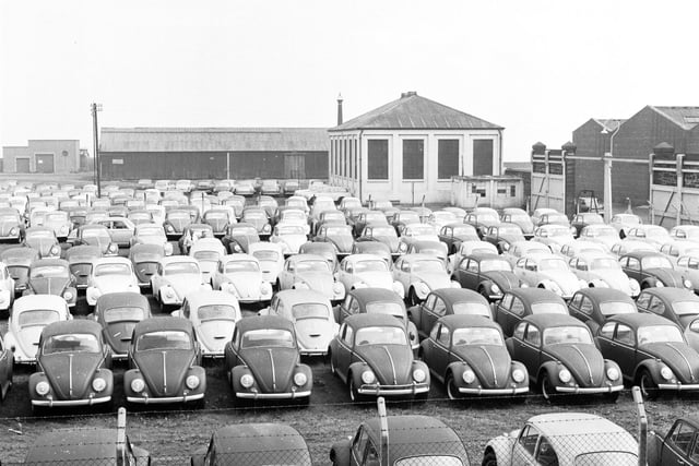  Volkswagens Beetles fill the east end of Leith Docks in Edinburgh in 1966