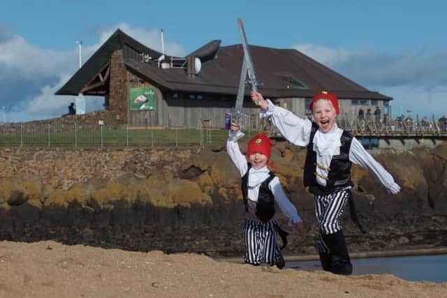 Experience a wonderful marine adventure at the Scottish Seabird Centre this summer
