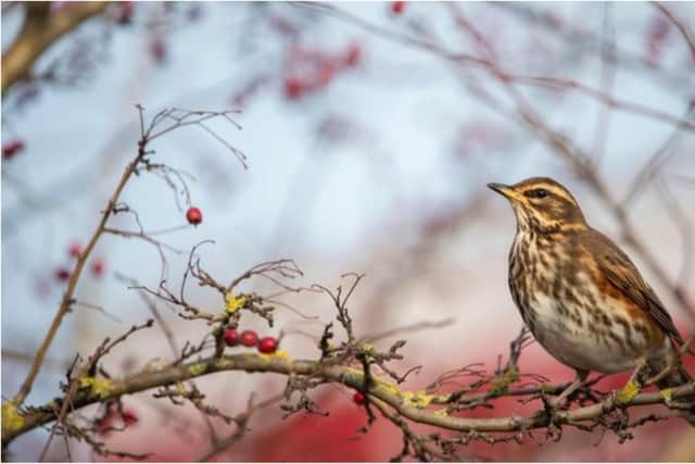 The results of a trial which saw GPs at five practices in Edinburgh prescribing nature revealed that 87% of patients involved will continue to use it to help their health and wellbeing.