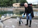 Narrator Gail Porter feeding gentoo penguins at Edinburgh Zoo