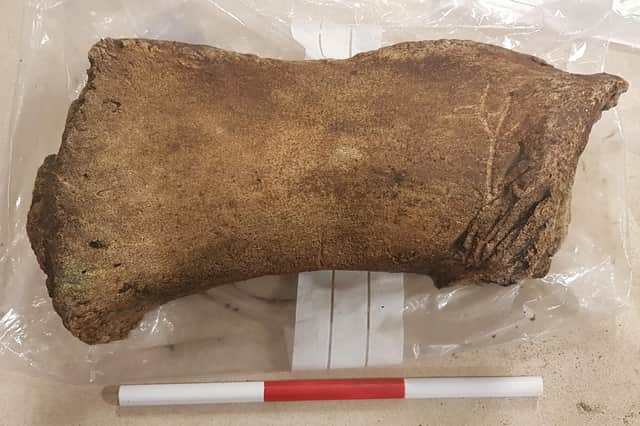 This whale bone recovered from the Edinburgh trams construction site could be as much as 800 years old. Picture: Edinburgh Trams / Guard Archaeology