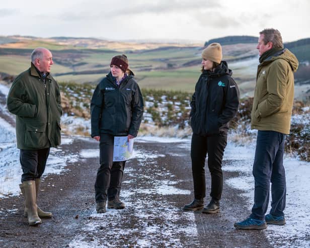Scottish Woodlands managing director Ralland Browne is pictured (left) at the company's Knowe & Keltie planting site in Perthshire, speaking to Scotland's environment minister Màiri McAllan, second right, with Stuart Goodall, chief executive of forestry and wood trade body Confor (right) and SWL Forest manager Jillian Kennedy (second left). Picture: Sandy Young Photography