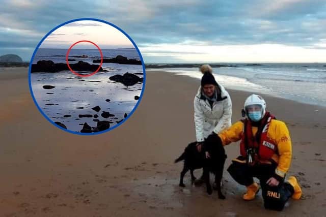 Reunited with his grateful owner, there was just time for a quick photo with his rescuers on the beach.