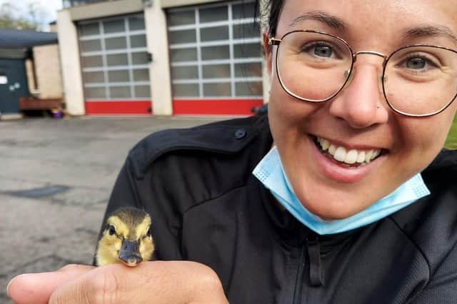 An officer pictured with one of the ducklings on Wednesday morning, April 28, at Haddington Police Station (Photo: Police Scotland).