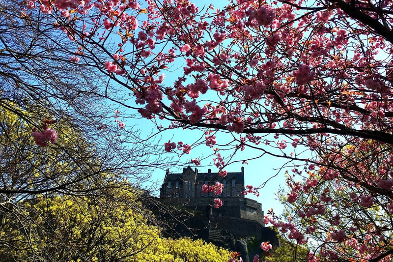 Beneath Edinburgh Castle and running parallel to famous Princes Street, Princes Street Gardens is a wonderful place to stroll in the springtime. After you've shopped or had lunch in New Town, enjoy the gardens and take in that striking view of the Ross Fountain beneath the castle.