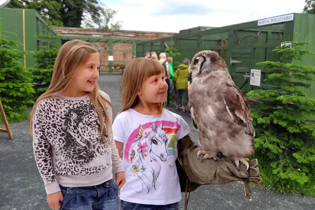 A photo shoot with an owl is among the highlights of the visit