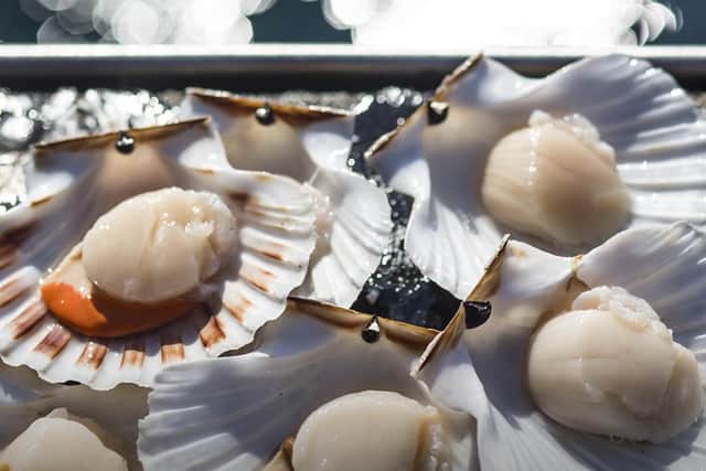 Products now available for delivery to Edinburgh and Glasgow include Ethical Shellfish Company's much-loved hand dived king scallops.