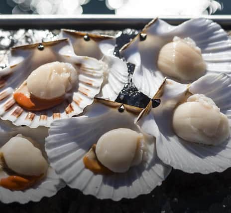 Products now available for delivery to Edinburgh and Glasgow include Ethical Shellfish Company's much-loved hand dived king scallops.