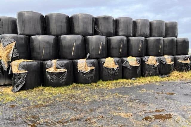 48 bales of hay were slashed