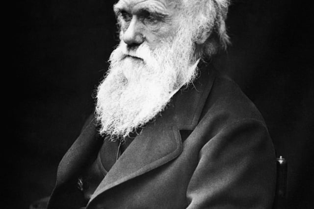 Surprisingly, Charles Darwin did not study biology or “natural history”. Instead, he enrolled at Edinburgh University to study medicine in 1825, when he was just 16 years old. Darwin’s father and grandfather had both studied medicine. Back then, Edinburgh had the reputation of providing the best medical education in Britain, but Darwin did not enjoy his studies. He left after two years without graduating.