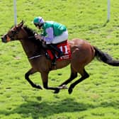 Teed Up, currently prominent in the ante-post betting market, could be a rare runner on the Flat at Musselburgh for Emmet Mullins in the Queen’s Cup contest