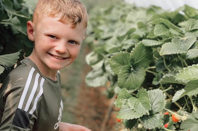 Aiden enjoying a day out picking strawberries with his family