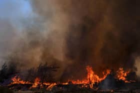 Flames burn a forest during a wildfire in Vati village, on the Aegean Sea island of Rhodes, southeastern Greece, on Tuesday. A third successive heatwave in Greece pushed temperatures back above 40 degrees Celsius (104 degrees Fahrenheit) across parts of the country following more nighttime evacuations from fires that have raged out of control for days. (Picture: AP Photo/Petros Giannakouris)