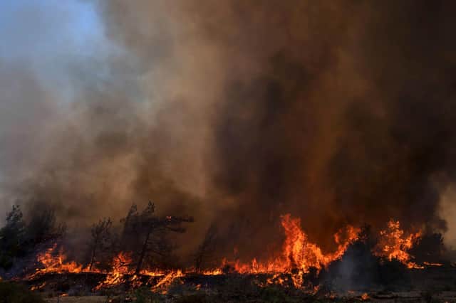 Flames burn a forest during a wildfire in Vati village, on the Aegean Sea island of Rhodes, southeastern Greece, on Tuesday. A third successive heatwave in Greece pushed temperatures back above 40 degrees Celsius (104 degrees Fahrenheit) across parts of the country following more nighttime evacuations from fires that have raged out of control for days. (Picture: AP Photo/Petros Giannakouris)