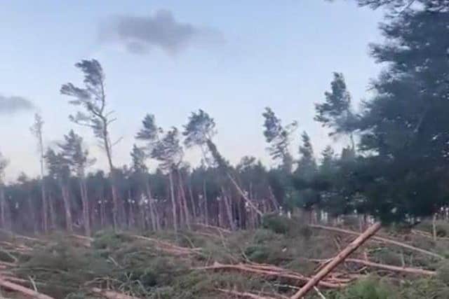 John Muir Country Park in Dunbar 'completely devastated' by Storm Arwen damage.