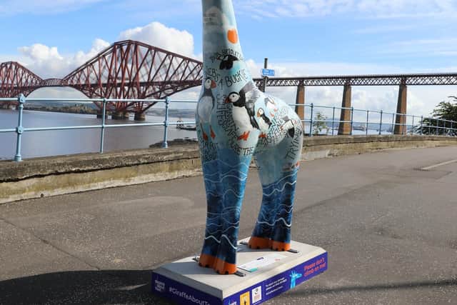 Tammie Norrie can be found in South Queensferry.