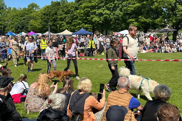 There was a fun dog show at this year's Meadows Festival, with many locals taking along their pets.