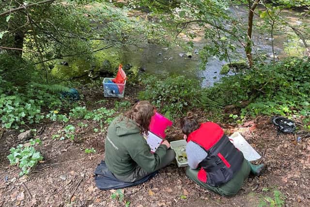 The Riverfly volunteers working on the Esk.